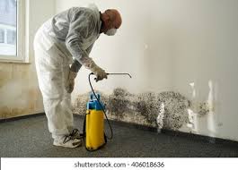 Professional Mold Removal & Remediation in Dorothy, NJ